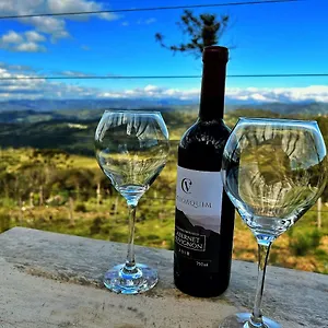 https://lagoa-dos-patos-vista-incrivel.santa-catarina-brasil.com